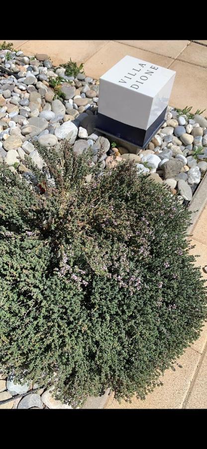 Dione Villa Kokkinos Pyrgos Dış mekan fotoğraf